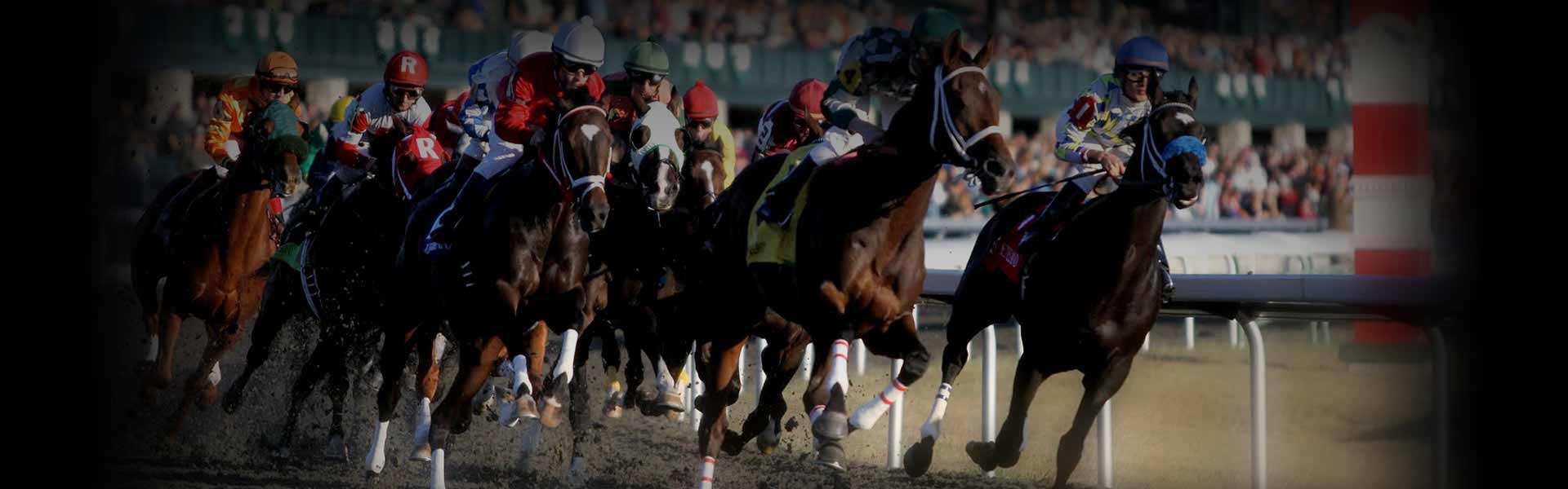 horse-betting-online.jpg